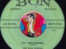 THE BLUE ECHOES Its Witchcraft RARE ROCKABILLY BOPPER