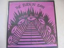Burnin` Rain - Pictures in the fire LP ROCKADELIC inser