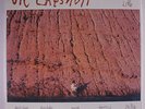 VIC CHESNUTT: Little LP (Athens, GA c. '90, inner sleeve, cover in shrink) rare