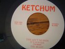 Insane 70s Psycho Lunatic Garage Punk 45 The Beast HEAR