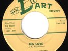 ROCKABILLY 45 by DONNA DAMERON RARE ROCKER ( BIG BOPPER