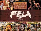 FELA KUTI VINYL BOX SET 1 - NEW AND SEALED, 6 LPs