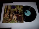 THE LITTLE BOY BLUES - In the woodland of weir LP
