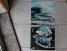 Steamhammer-Speech Orig.Green Brain Metronome 1009 M/M-