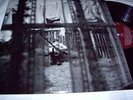 PAUL McCARTNEY CHAOS AND CREATION IN THE BACKYARD VINYL