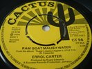 ERROL CARTER / RAM GOAT MALISH WATER RARE ROOTS ?