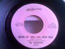 THE VONTASTICS NEVER LET YOUR LOVE GROW COLD EX