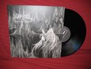 Warloghe - Womb of Pestilence - LP Clandestine Blaze
