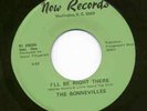 NORTHERN / SWEET - BONNEVILLES on NOW RECORDS - RARE