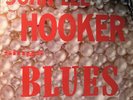 John Lee Hooker Sings Blues Crownless King DG