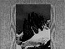 Paysage D'Hiver / Lunar Aurora - Split LP (eternity bm)