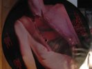 THE JESUS LIZARD: goat LP RARE Picture Disc TOP Shellac