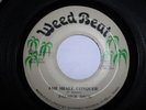 Palmer Bros. - Jah Shall Conquer - Rare Reggae 7