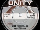 Reggae Boys What you Gonna Do UK 1969 Unity UN 530