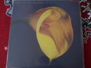 Swans-The Burning World LP Joy Division The Cure Gothic