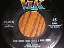 1956 R&B/Soul 45 - FRANK MINION  How Much Land - VIK