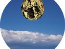 ALTAMONT - Steven Wilson, Porcupine Tree (Rare OOP)