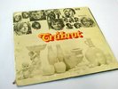 ICELAND PROGRESSIVE TRUBROT LP RARE  POKORA