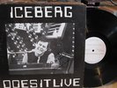 Iceberg Does It Live LP Private Prog Synth Electro RARE