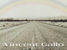 Vincent Gallo When LP Warp Limited  RARE