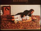 KALEIDOSCOPE White-Faced Lady 2-LP U.K. Psych/Prog