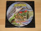 ASSASSIN Interstellar Experience Pic-LP Slayer Kreator