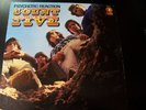 Count Five - Psychotic Reaction LP MONO Original Psych