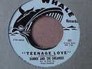 Donnie & The Dreamers Teenage Love Orig Doo Wop  HEAR