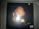 Pearl Jam Riot Act LP Brand New Vinyl
