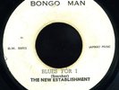 The New Establishment - Blues For I  JA orig 45 ??