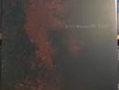 Scott Walker The Drift RARE MINT VINYL