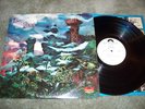Banchee     Thinkin  Polydor White Promo Label