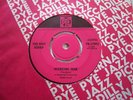 The Riot Squad - Working Man 1966 UK 45 RGM/JOE MEEK