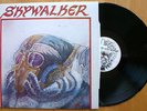 SKYWALKER-HIGH FLYER 1982 PRIVATE PRESSING ILLINOIS LP