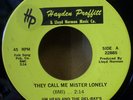 JIM HEAD & THE DEL RAYS DARLENA/MR. LONELY 45 RARE SURF