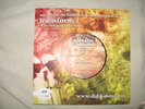DUB JUDAH /FROM THE FOUNDATION 7
