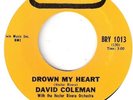 NORTHERN SOUL  DAVID COLEMAN   