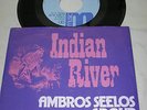 AMBROS SEELOS GROUP Indian River / Mabusso 