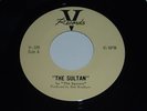 VHTF Ultra-Rare Neil Young Squires V-109 Sultan/Aurora