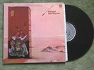 JADE WARRIOR RELEASED LP RECORD NM VERTIGO 1971