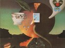 NICK DRAKE Pink Moon LATER UK issue + inner EX grade