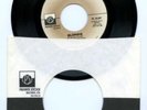 Blondie X Offender/In the Sun Very Rare 7
