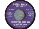 TEFTELLER NORTHERN Natural Four Boola Boola 2382 HEAR