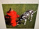 RUSH RARE SEALED LP  SIGNALS  1982 NO CUTS or CLUB COPY
