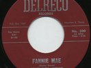 Rare R&B 45- The Del-Rays - Fannie Mae- Delreco 500- M-