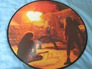 IMMORTAL diabolical fullmoon mysticism PICTURE LP ulver