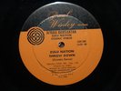 AFRIKA BAMBAATAA - ZULU NATION THROW DOWN DISCO RAP 12