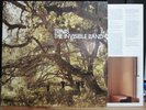 Travis / LP / The Invisible Band / Oasis Verve Coldplay