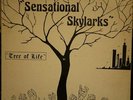 Detroit's Sensational Skylarks Tree of Life Gospel HEAR