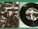 Integrity / Pale Creation Split 7